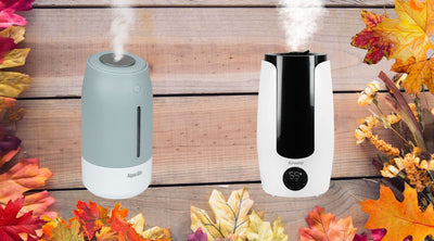 The Unbe-LEAF-able Benefits of Humidifiers
