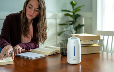 Why You Need a Humidifier This Winter